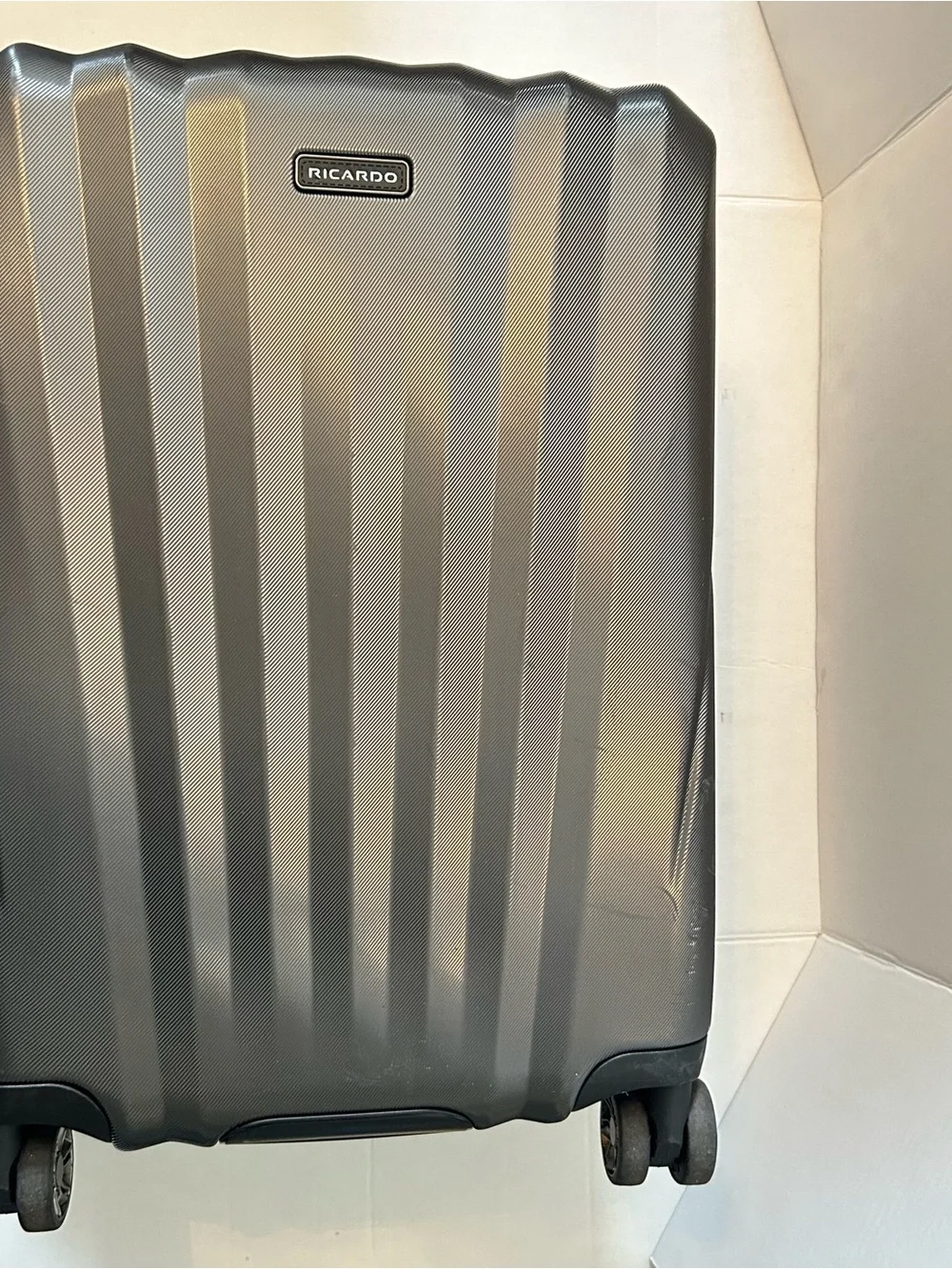 Ricardo Hard Shell Carry-On Luggage in Gunmetal Gray